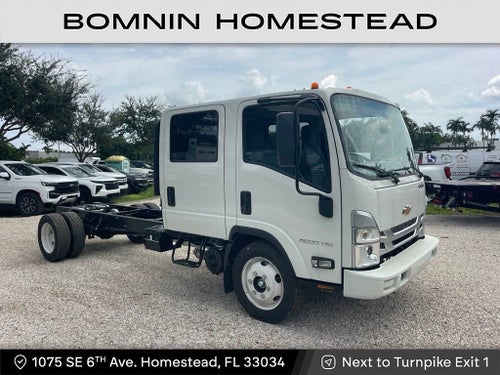 2024 Chevrolet Low Cab Forward 4500 1WT